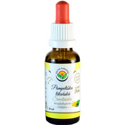 Salvia Paradise Pampeliška lékařská AF tinktura 30 ml – Hledejceny.cz