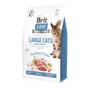 Brit Care Cat Grain-Free Large cats Power & Vitality 2 kg