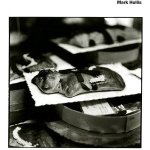 Hollis Mark - Formerly Of Talk Talk CD – Zbozi.Blesk.cz