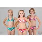 Litex 2005273 fialová – Zbozi.Blesk.cz