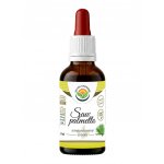 Salvia Paradise Saw palmetto standardizovaný extrakt 50 ml – Hledejceny.cz