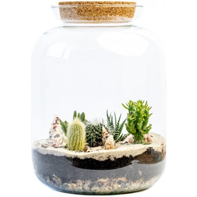 Gardners Skleněná dóza Kerria s korkovým špuntem, 31,5x25 cm - osázené suchomilné – Hledejceny.cz