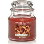 Yankee Candle Cinnamon Stick 411 g – Zboží Mobilmania