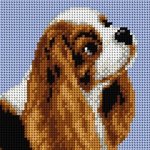 Předloha vyšívací King Charles Spaniel 15x15cm – Zboží Mobilmania