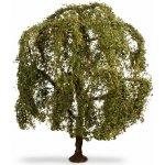 Noch Smuteční vrba – Sleviste.cz