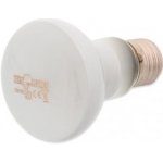 Repti Planet Daylight Frosted 25 W 007-41021 – Zboží Dáma