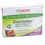 Fructolax Ovoce & Vláknina 24 žvýkacích kostek – Hledejceny.cz