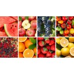 Bosch MWZS0JPB – Zboží Mobilmania