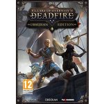 Pillars of Eternity 2: Deadfire (Obsidian Edition) – Zboží Dáma