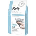 Brit Veterinary Diet Cat Grain Free Obesity 5 kg – Hledejceny.cz