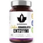 Puhdistamo Super Digestive Enzymes 30 kapslí – Hledejceny.cz