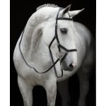 Horseware Rambo Micklem Competition černá – Sleviste.cz
