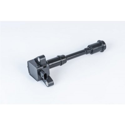 Zapalovací cívka BorgWarner (BERU) ZSE203 – Hledejceny.cz
