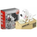 Pokladnička Pes Jíst mince Peníze Bílá – Zboží Dáma