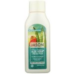 Jason Conditioner vlasový Aloe Vera 454 g – Sleviste.cz