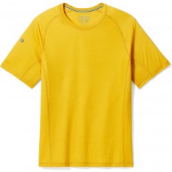 Smartwool Active ULTRALITE SHORT SLEEVe honey gold