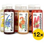 Falko kombucha Maxi balíček kombucha 12 x 0,5 l – Zboží Mobilmania