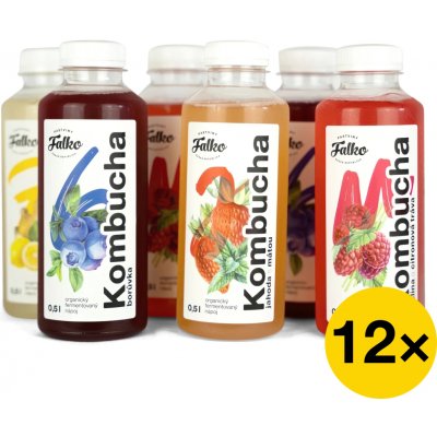 Falko kombucha Maxi balíček kombucha 12 x 0,5 l – Zboží Mobilmania