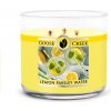 Svíčka Goose Creek Candle Lemon Parsley Water 411 g