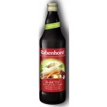 Rabenhorst Šťáva B- Aktiv recept dle Breusse Bio 0,75 l – Zboží Dáma