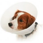 Kruuse Límec ochranný BUSTER neprůhledný Classic Collar 25 cm – Zboží Dáma