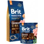 Brit Premium by Nature Adult M 2 x 3 kg – Hledejceny.cz