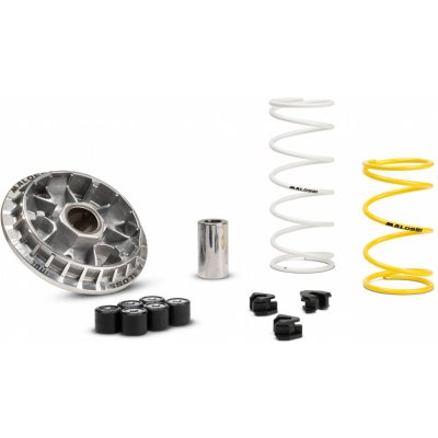 Variátor Malossi Multivar, Honda Forza, SH 125, 150 od 2013 do 2020, PCX od 2018 do 2020 (nový typ) 5115652 – Hledejceny.cz