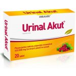 Walmark Idelyn Urinal Akut 20 tablet – Zboží Dáma