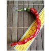 Osivo a semínko Cayenne Pepper Long Slim 19-CA7-22-2 (chilli semena) 1 ks