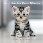 Short Stories About Kittens (EN) – Zboží Dáma