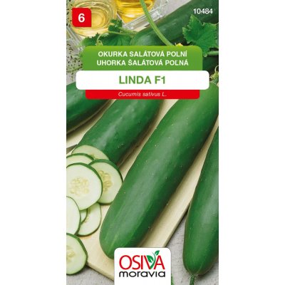 Okurka salátová Linda F1 - semena 1 g – Zboží Mobilmania