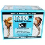 TRM Stride MP 60 x 20 g – Zboží Dáma