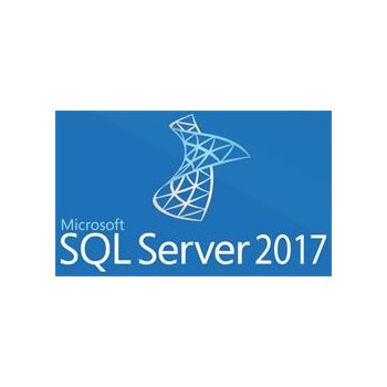 Microsoft SQL Svr Std 2017 OLP NL 228-11135