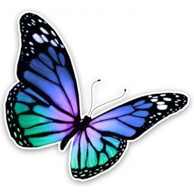 Samolepka (na auto, notebook) motýl (9) – Zboží Živě