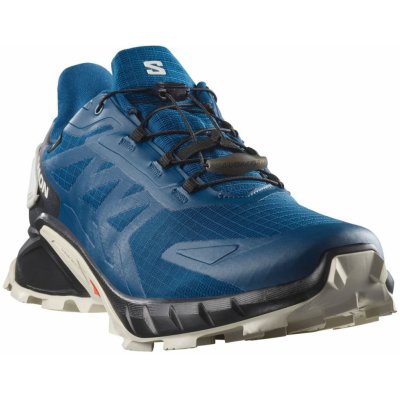 Salomon Speedcross 6 Gore-Tex Poseidon/Black/Lunar Rock – Zboží Dáma