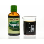 Green idea Propolis tinktura kapky 50 ml – Hledejceny.cz