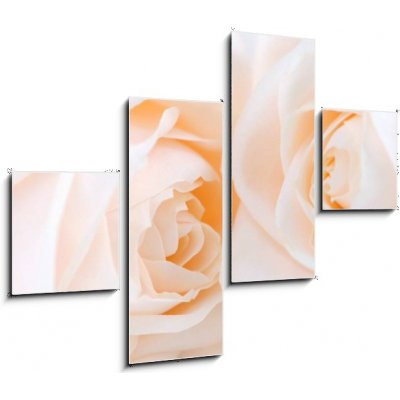 Obraz čtyřdílný 4D - 120 x 90 cm - Two delicate high key beige roses macro floral background Dvě jemné vysoké klíčové béžové růže makro květinové pozadí – Zboží Mobilmania