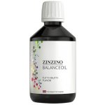 Zinzino BalanceOil Omega 3 Tutti Frutti 300 ml – Hledejceny.cz