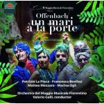 Offenbach - Un Mari a La Porte CD – Hledejceny.cz