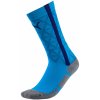 Puma IT evoTRG socks