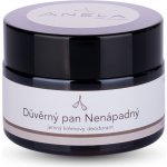 Anela Důvěrný pan Nenápadný jemný krémový deodorant 30 ml – Hledejceny.cz