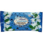 Miléne Cool Fresh toal.ubrousky 15 ks – Hledejceny.cz
