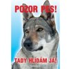 Autovýbava Grel nálepka pozor pes československý vlčák