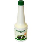 Calcifostil 480 ml – Hledejceny.cz