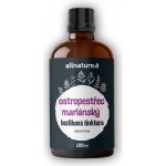 Allnature Ostropestřec bezlihová tinktura 100 ml – Hledejceny.cz