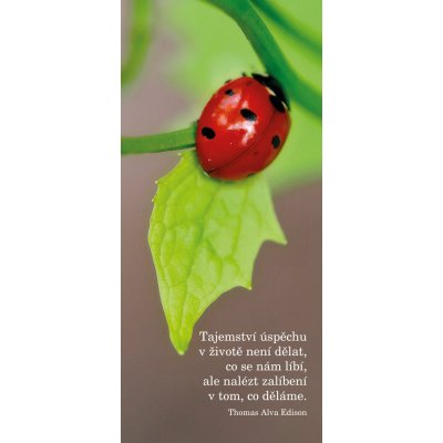 Paulínky Záložka (Z 183) – Sleviste.cz