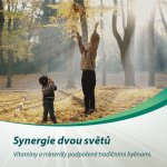 Cetebe Herba 30 tablet – Hledejceny.cz