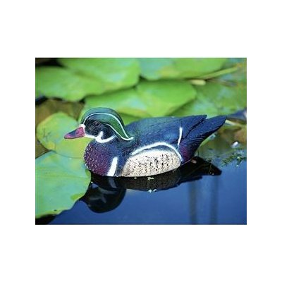 Ubbink Kačer Carolina – Zboží Dáma