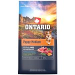 Ontario Puppy Medium Lamb & Brown Rice 6,5 kg – Hledejceny.cz