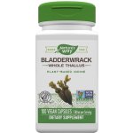Nature's Way Bladderwrack 100 kapslí – Hledejceny.cz